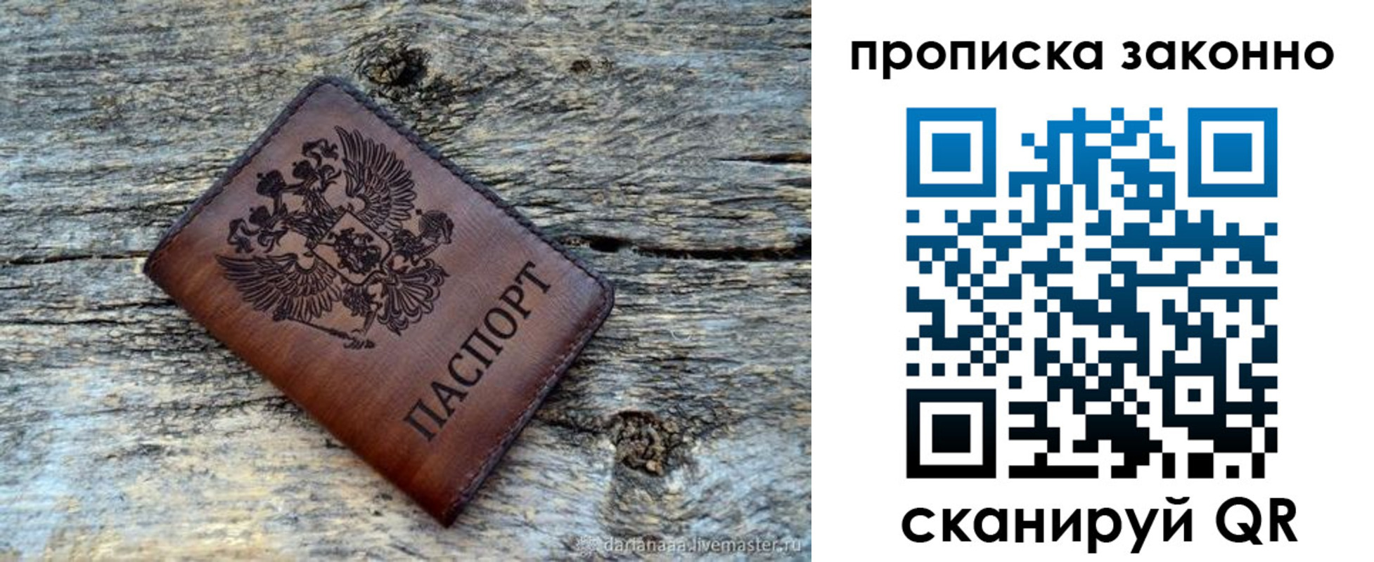 прописка для школы в Фрязино